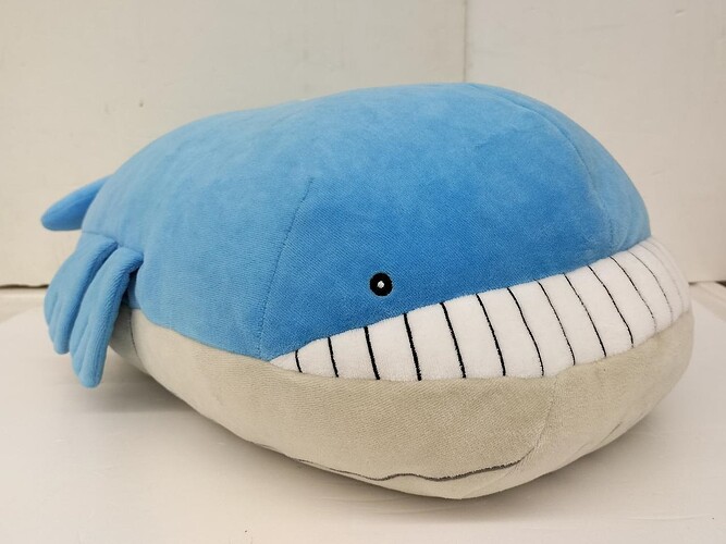 whale pokemon